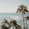 katherineree331